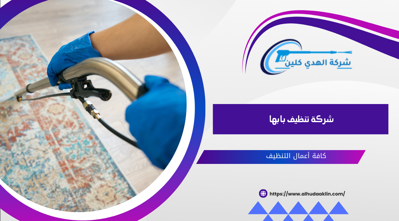 شركة تنظيف بابها