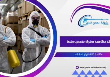 شركة مكافحة حشرات بخميس مشيط