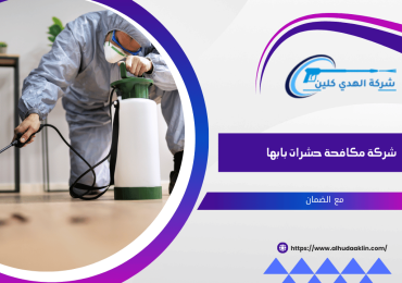 شركة مكافحة حشرات بابها