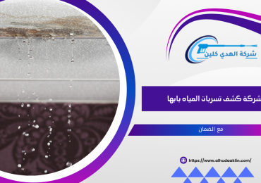 شركة كشف تسربات المياه بابها
