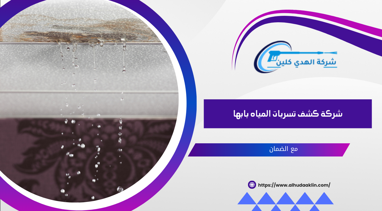 شركة كشف تسربات المياه بابها
